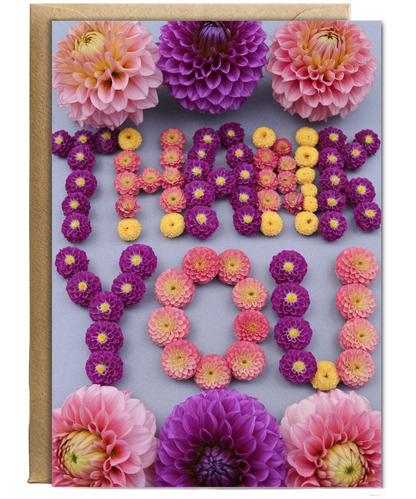Thank You - Vibrant Dahlia Flowers