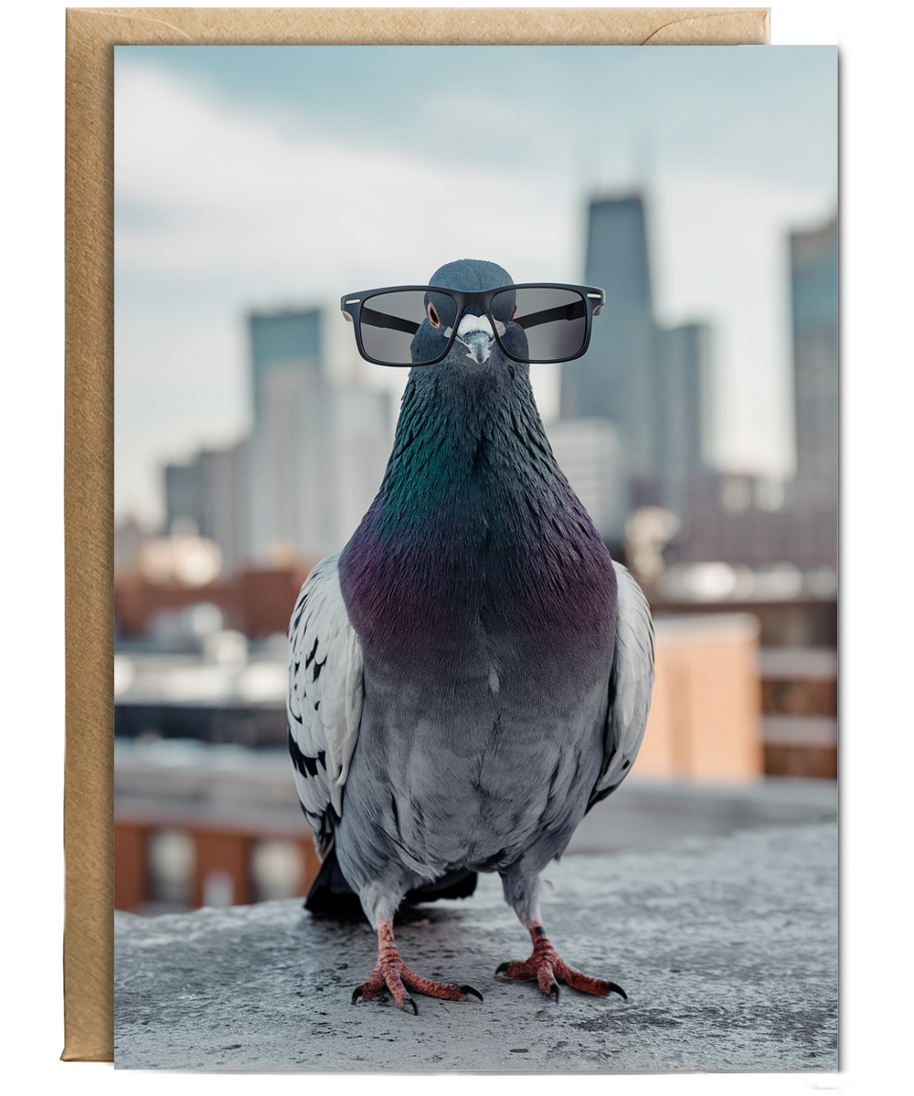 Pigeon in Urban Glasses