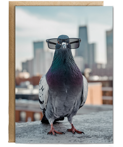Pigeon in Urban Glasses