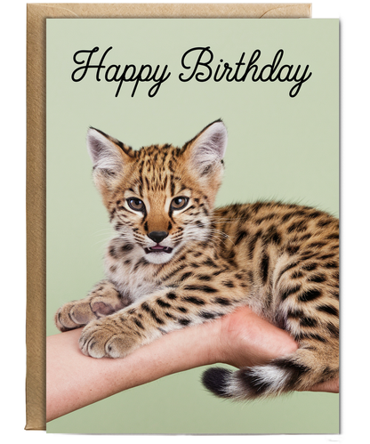 Birthday card Miniture wild cat cute funny