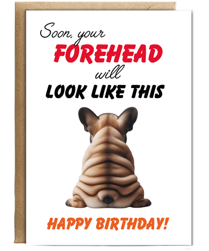 Funny Aging Birthday Card Soon Your Forehead Is Going to Look Like This