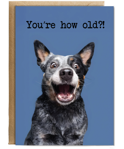 You're how old