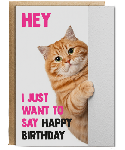 Funny Cat Birthday Card Hey I Just Want to Say Happy Birthday