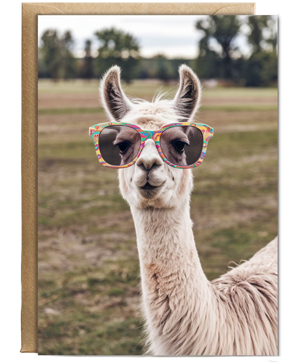 Llama in Funky Sunglasses
