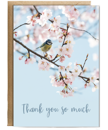 cherry blossom tree thank you very much