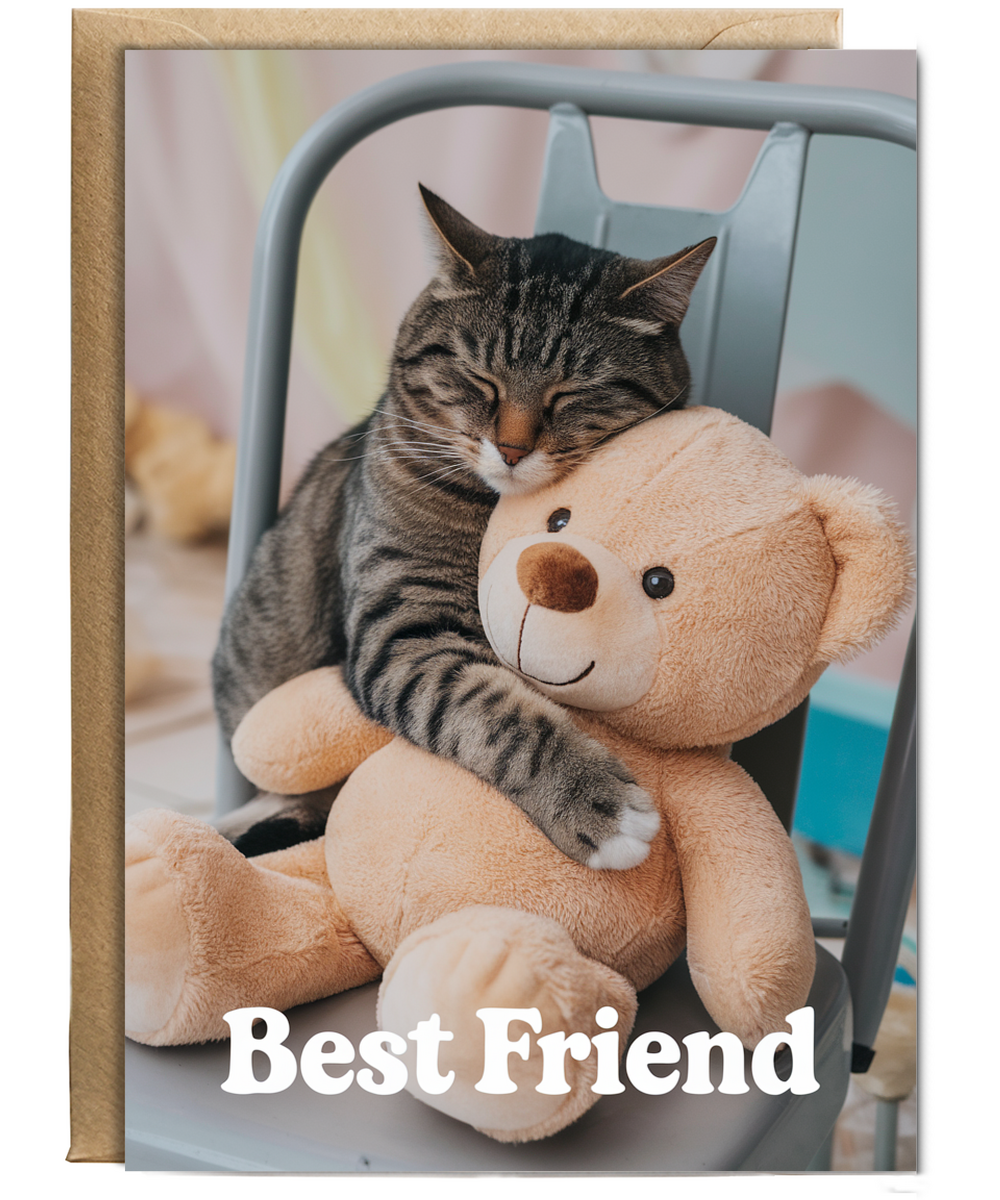 Best Friend with Cat Hugging a Teddy Bear