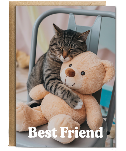 Best Friend with Cat Hugging a Teddy Bear