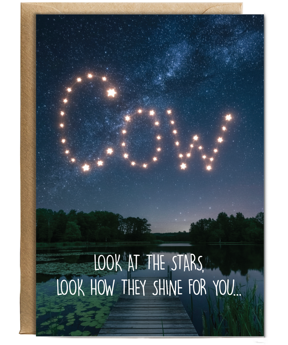 Look at the stars cow