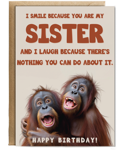 I laugh because you are my sister orangutans