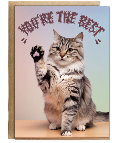 You're the Best with Cat Giving a High Five
