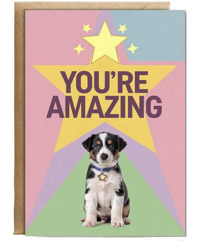 You're Amazing - Puppy with a Star