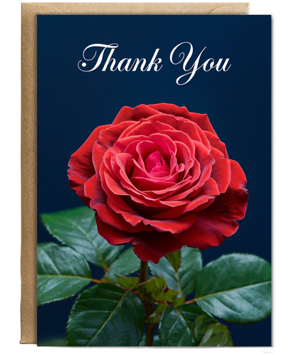 Thank You - Red Rose Elegance