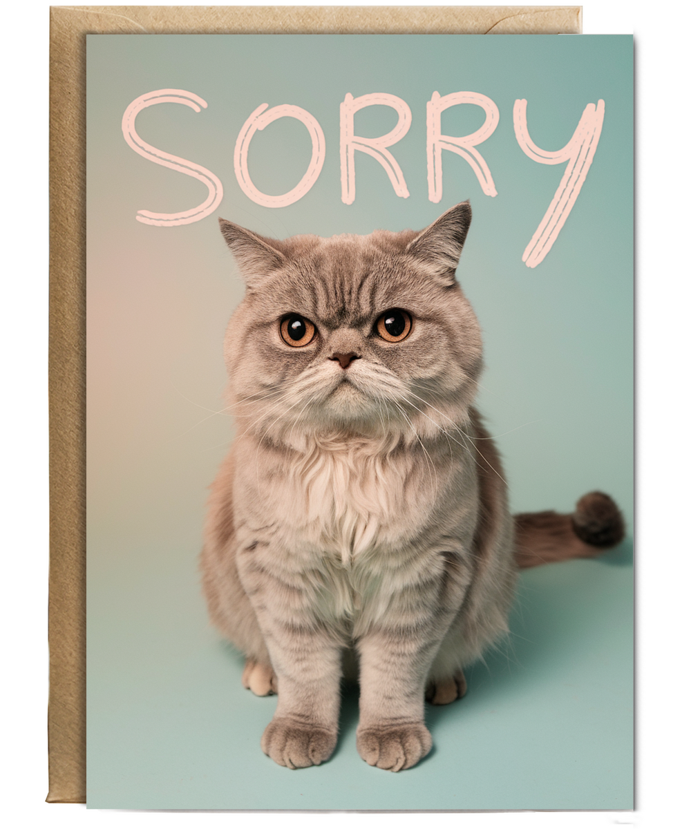 Sorry with Cat with Sad Eyes
