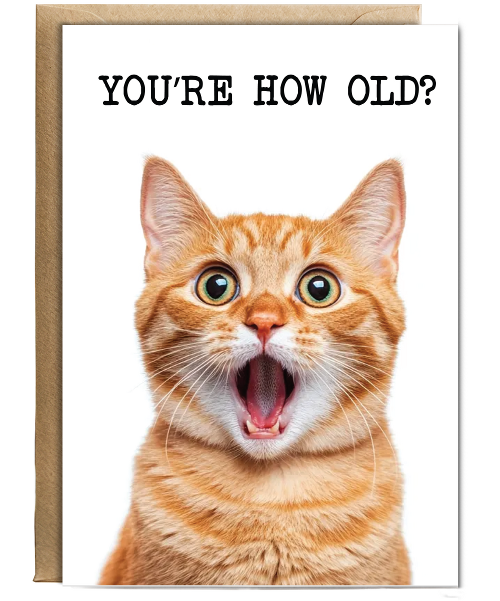 You're how old kitty