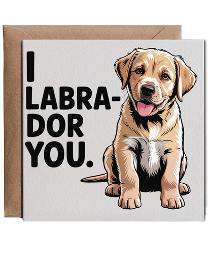 I labrador you