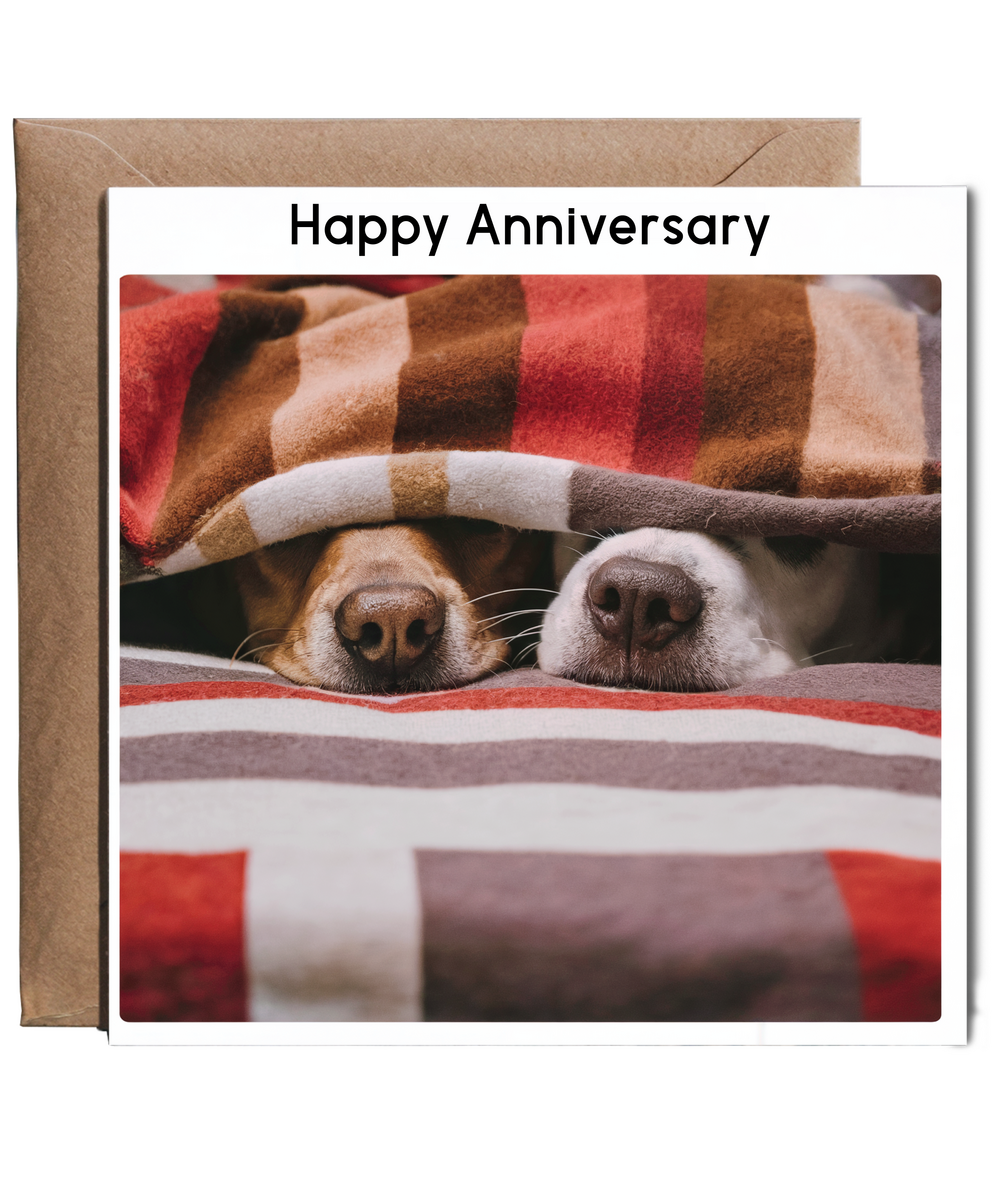 happy anniversary Two dogs peeking