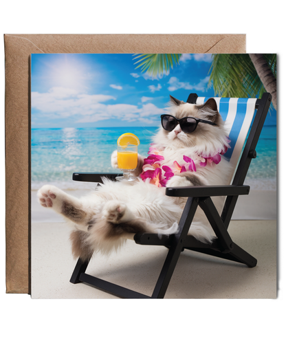 ragdoll cat on the beach