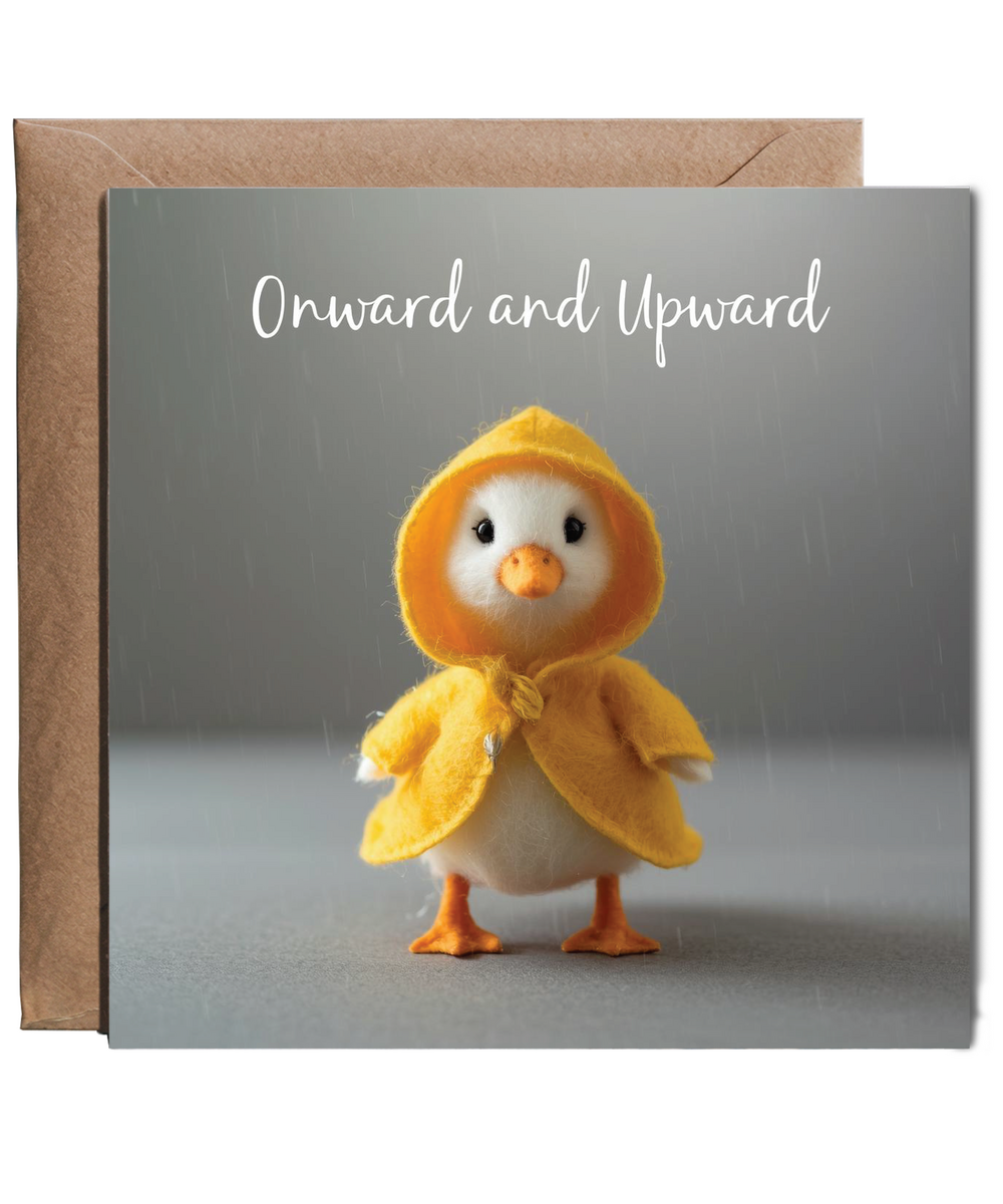 2D Felt style duck raincoat onward and upward