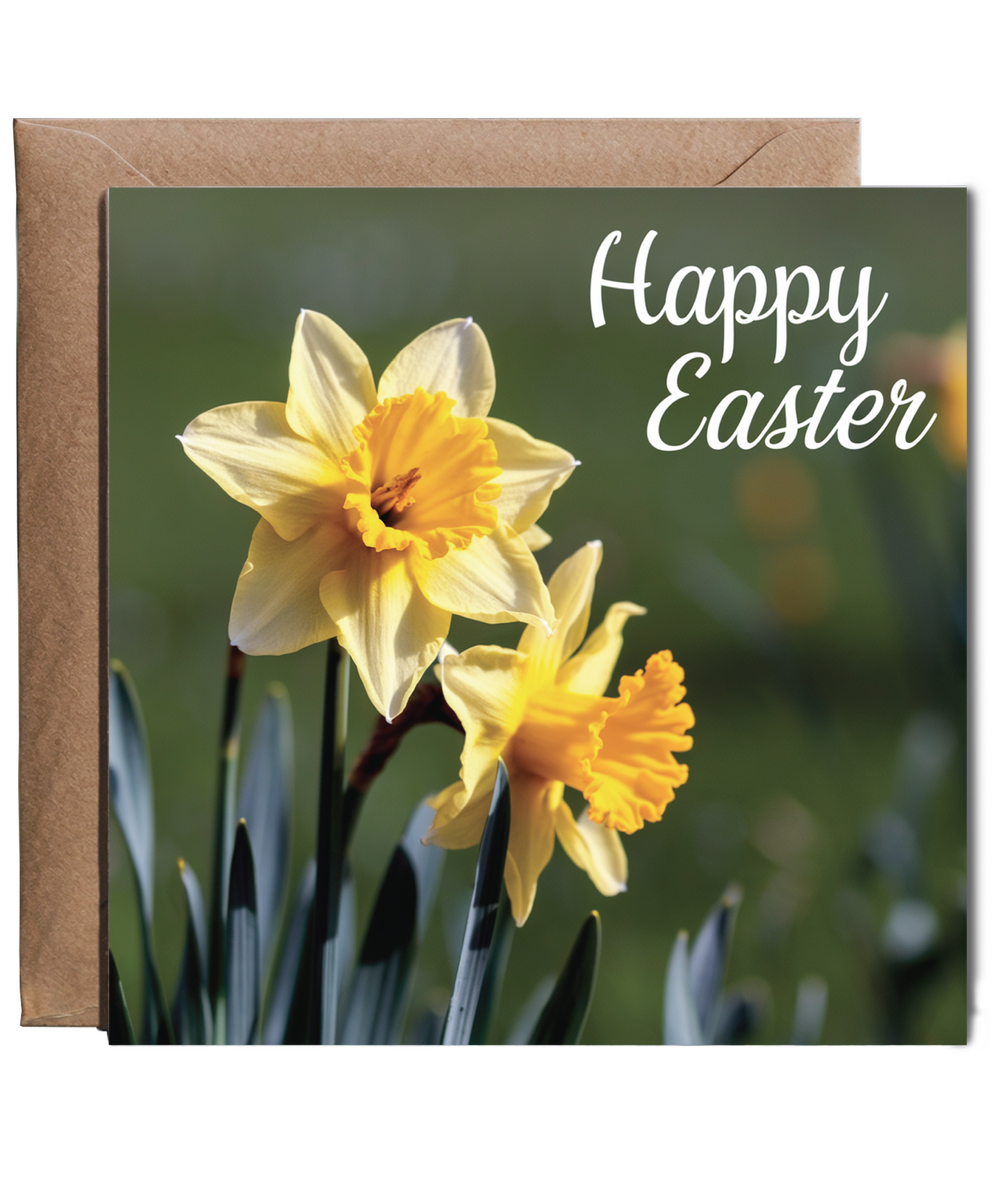 daffodils happy easter