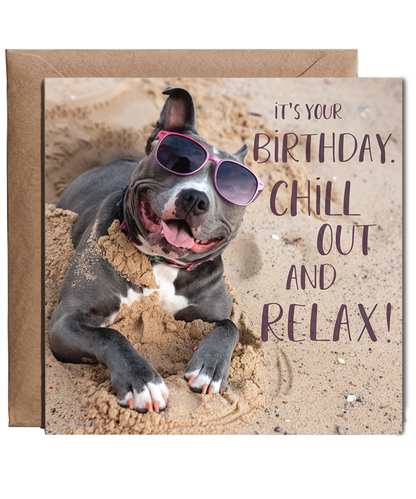 Staffordshire Bull Terrier your birthday chill out and relax