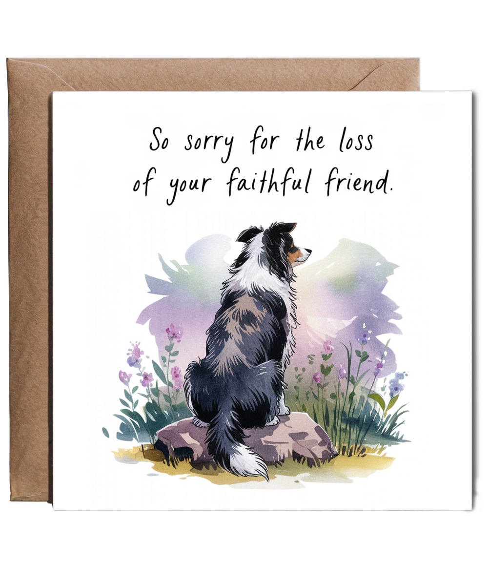 Sympathy Card for the Loss of a Pet Dog Faithful Friend Border Collie