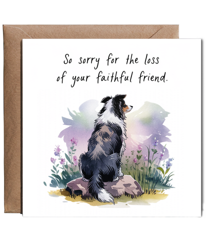 Sympathy Card for the Loss of a Pet Dog Faithful Friend Border Collie