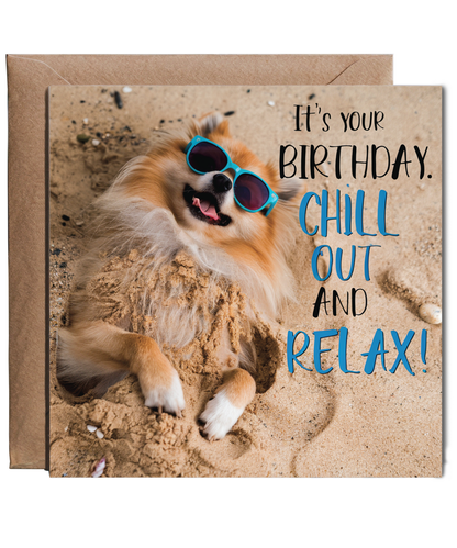 pomeranian it's your birthday chill out and relax