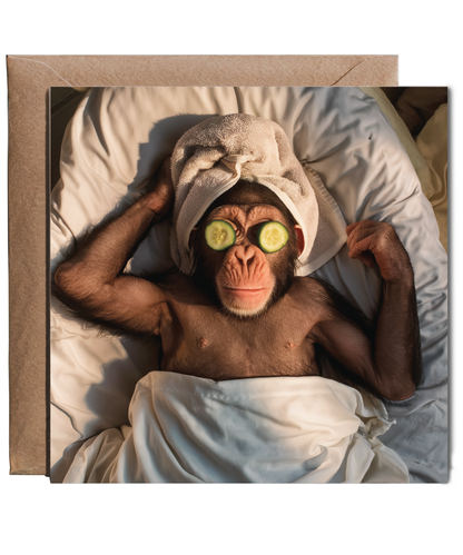 funny pampered chimpanzee