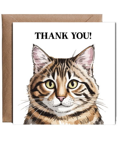 Thank you tabby cat