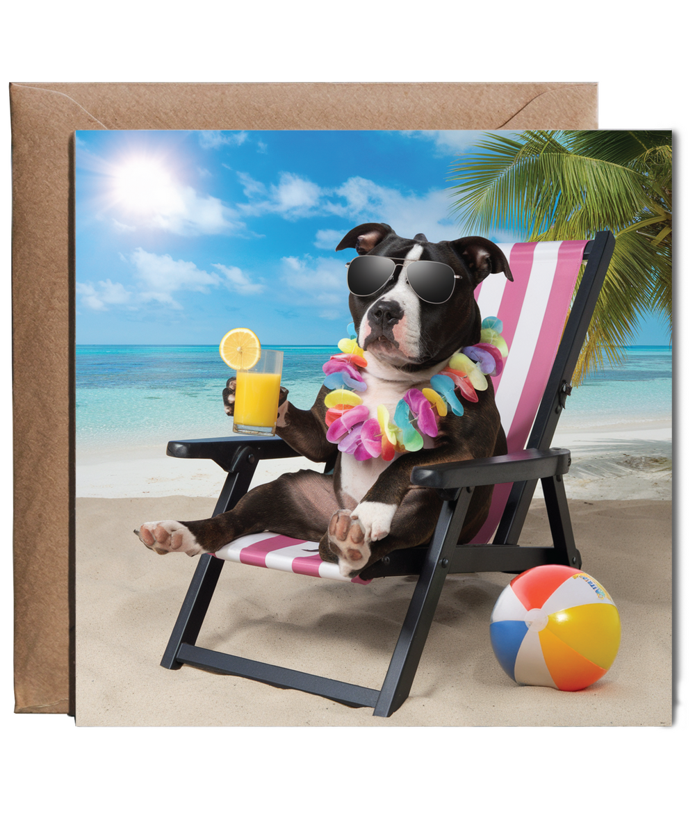 staffordshire bull terrier on the beach