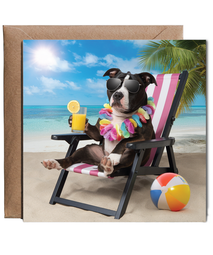 staffordshire bull terrier on the beach