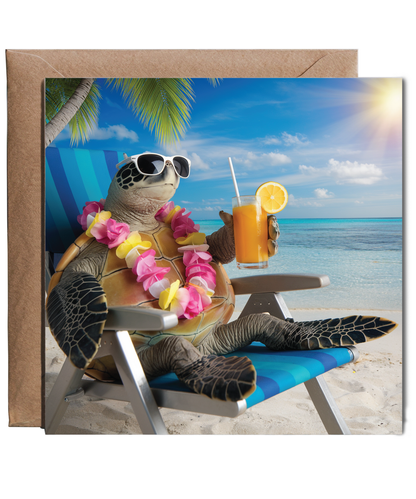 turtle on the beach