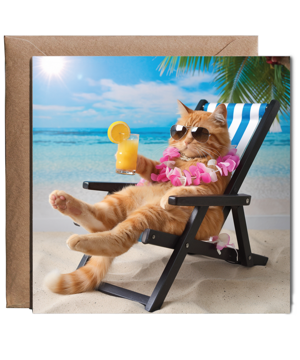 Ginger cat on the beach