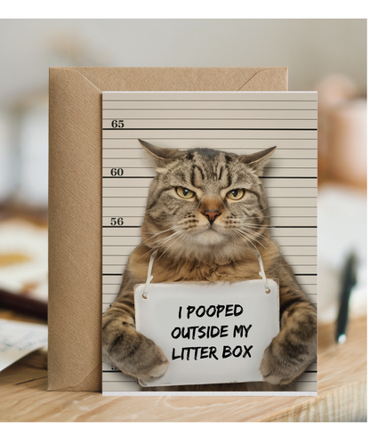 naughty tabby cat