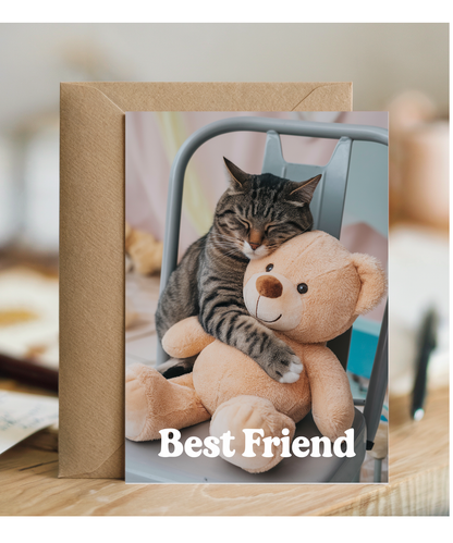 Best Friend with Cat Hugging a Teddy Bear