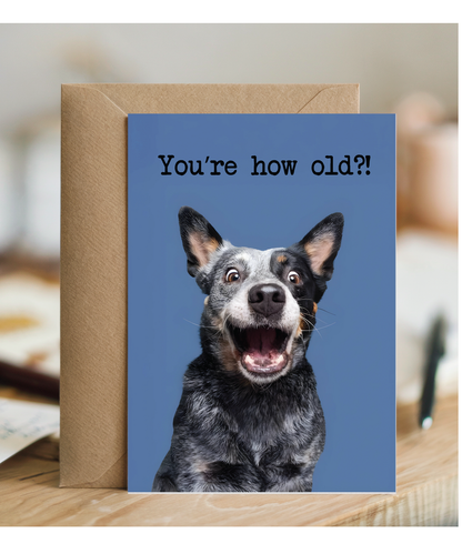 You're how old