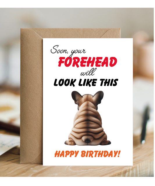 Funny Aging Birthday Card Soon Your Forehead Is Going to Look Like This