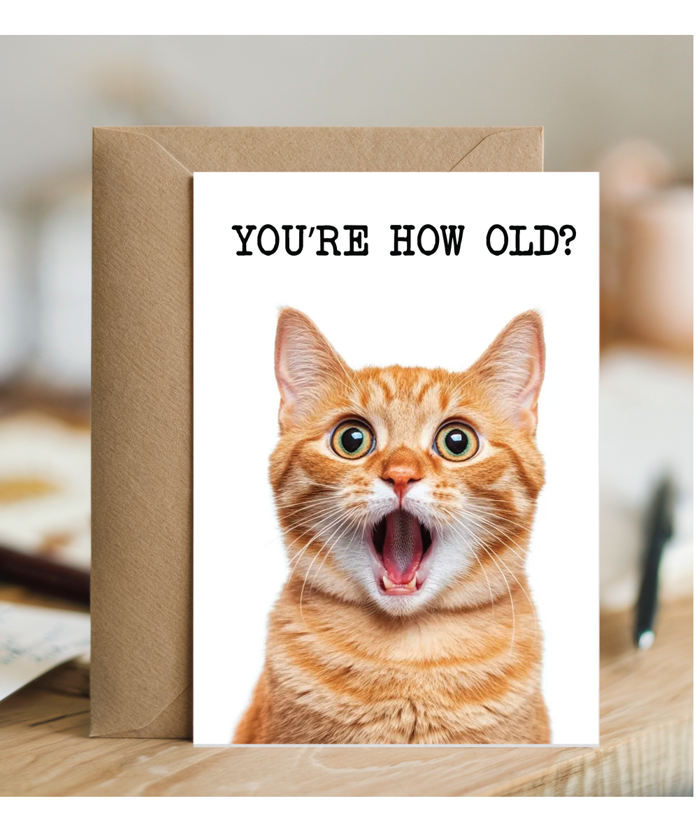 You're how old kitty