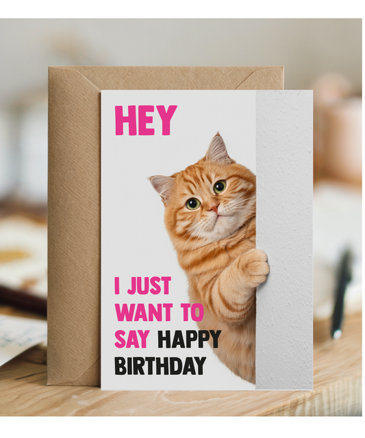 Funny Cat Birthday Card Hey I Just Want to Say Happy Birthday