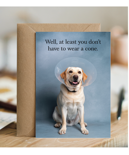 Dog Wearing Cone Feel Better Soon