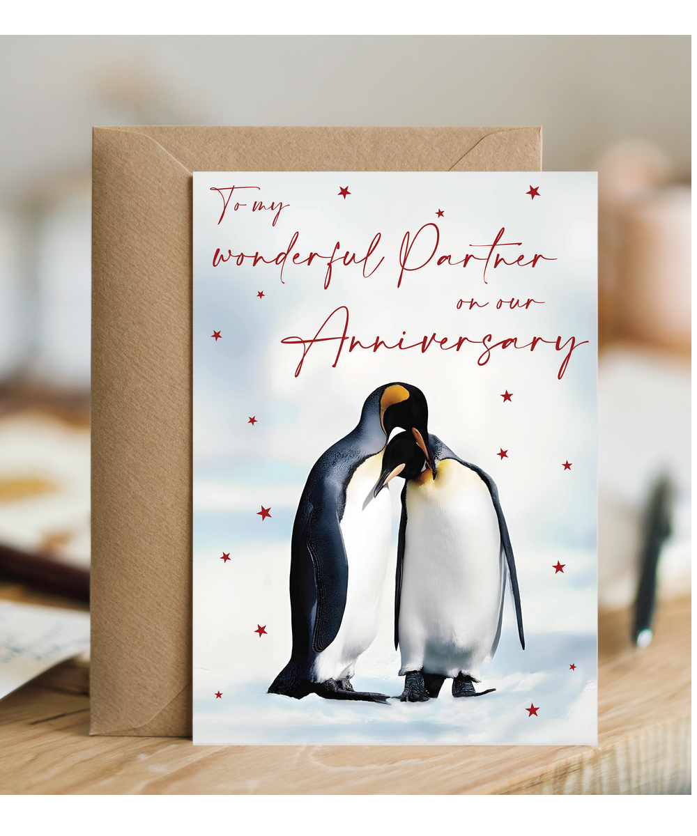 To my wonderful partner