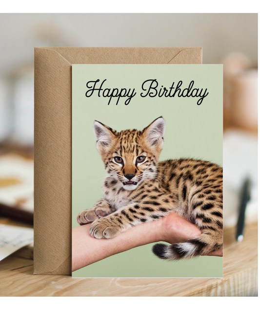 Birthday card Miniture wild cat cute funny