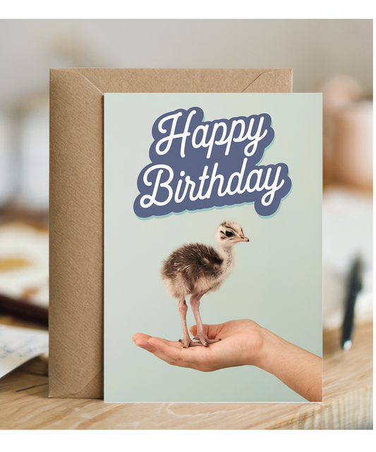 Birthday card Miniture ostrich cute funny