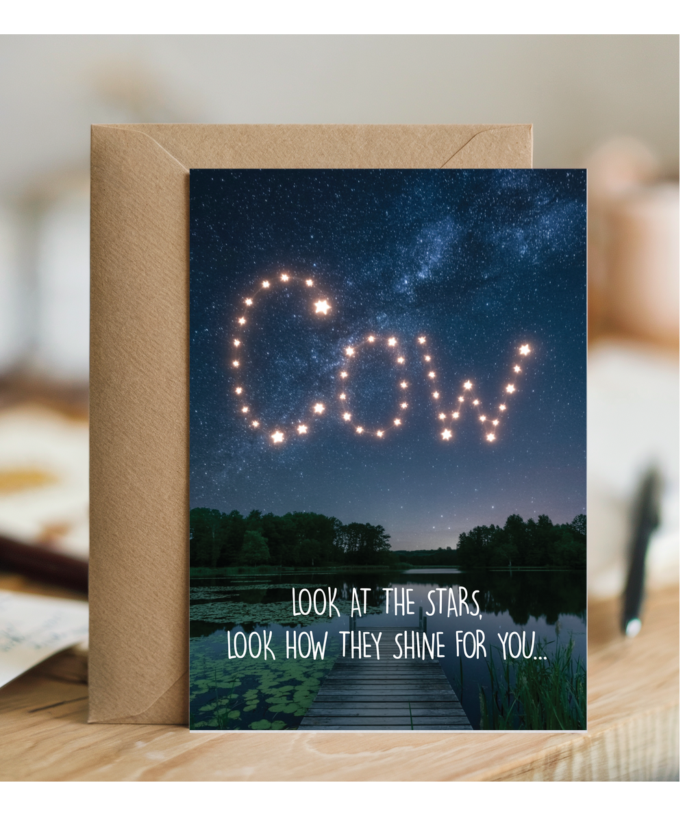 Look at the stars cow