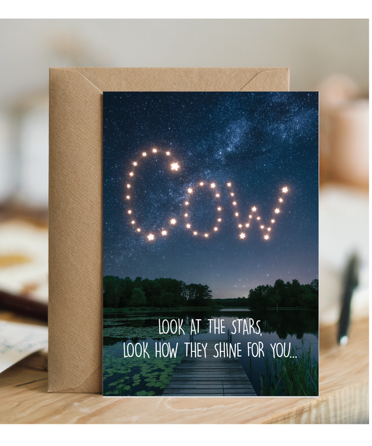 Look at the stars cow