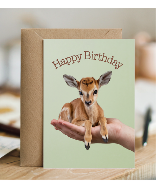 Birthday card Miniture impala cute funny