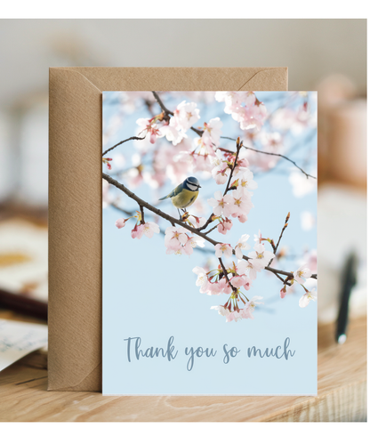 cherry blossom tree thank you very much