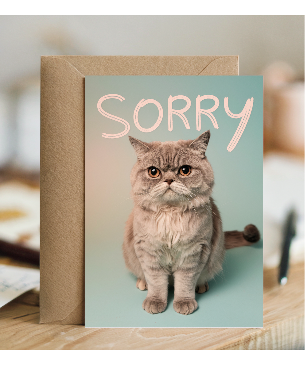 Sorry with Cat with Sad Eyes