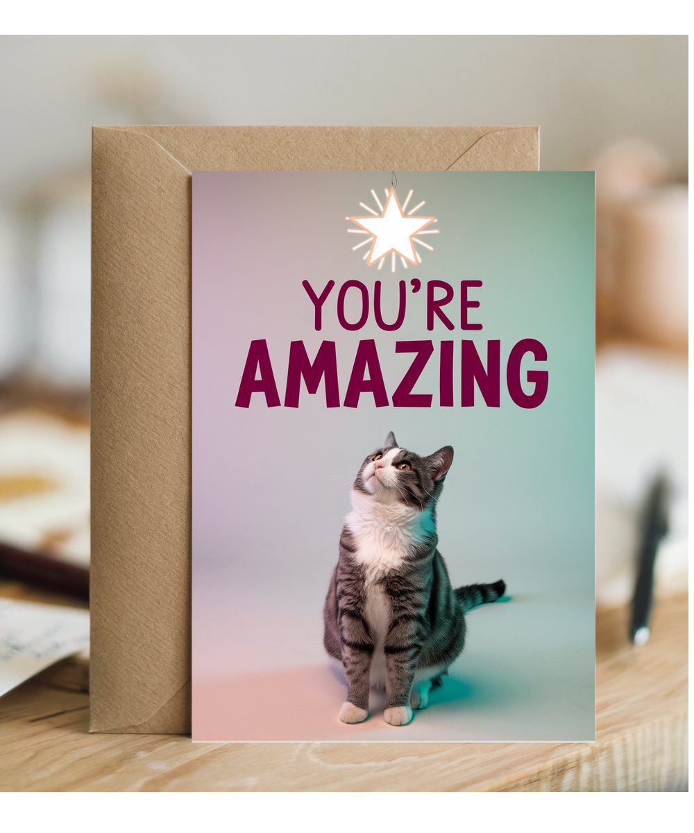 You're Amazing with Cat with a Star