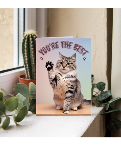 You're the Best with Cat Giving a High Five